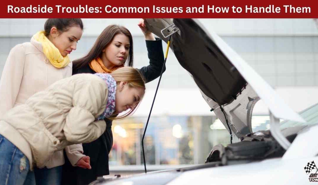 Roadside Troubles: Common Issues and How to Handle Them