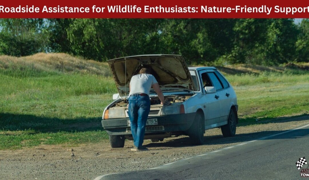 Roadside Assistance for Wildlife Enthusiasts: Nature-Friendly Support